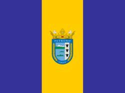 Bandera Futrono